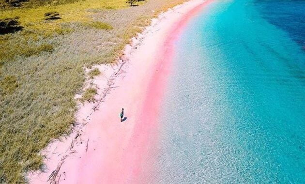 Pantai Tangsi Pink Beach Lombok