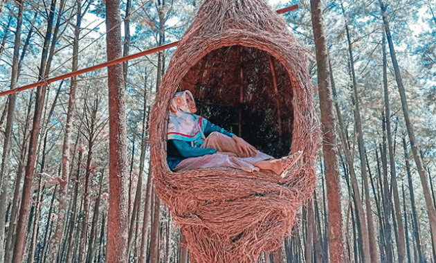 Camp Gunung Pancar Sentul