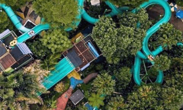 The Jungle Waterpark View