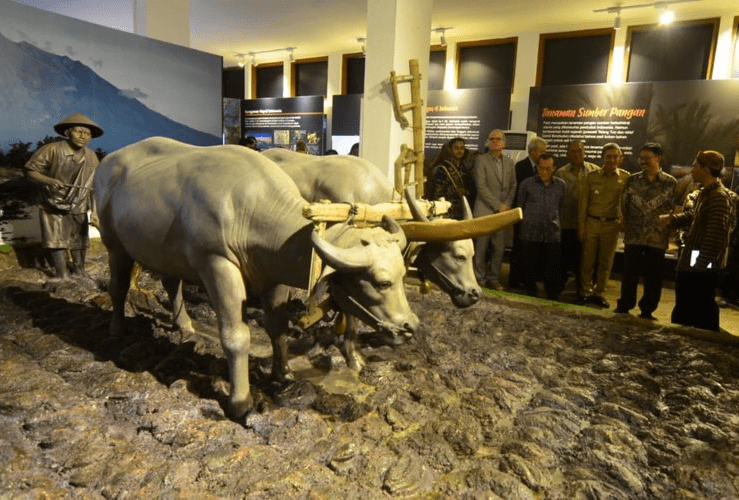 Koleksi Museum Tanah dan Pertanian