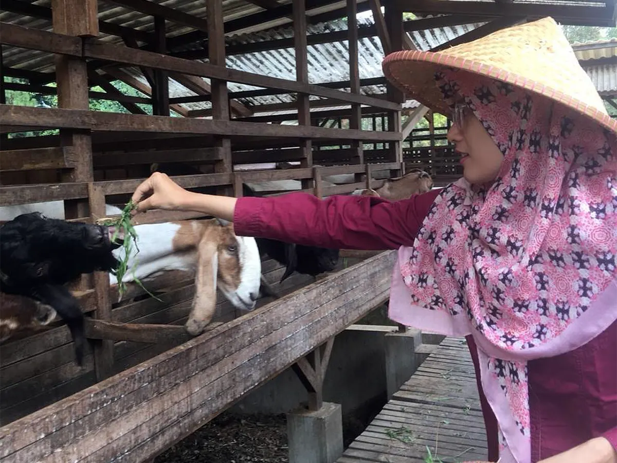 Kuntum Farmfield Bogor