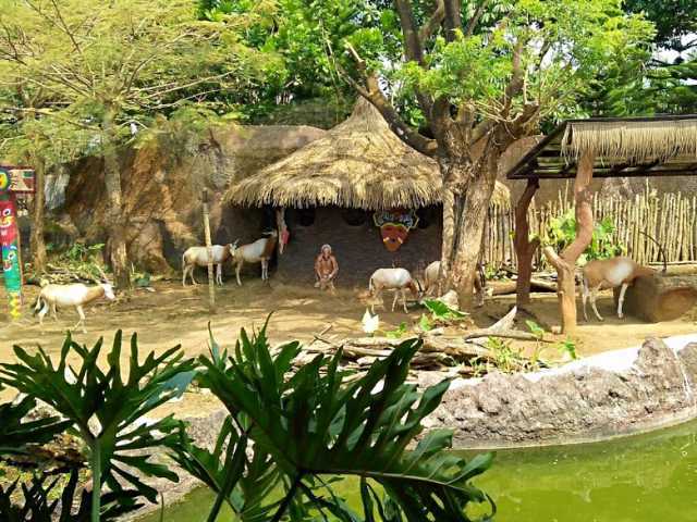 Batu Secret Zoo