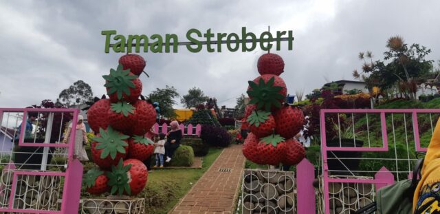 Taman Strawberry Foto Gmap Diny Madonna 640x311 1