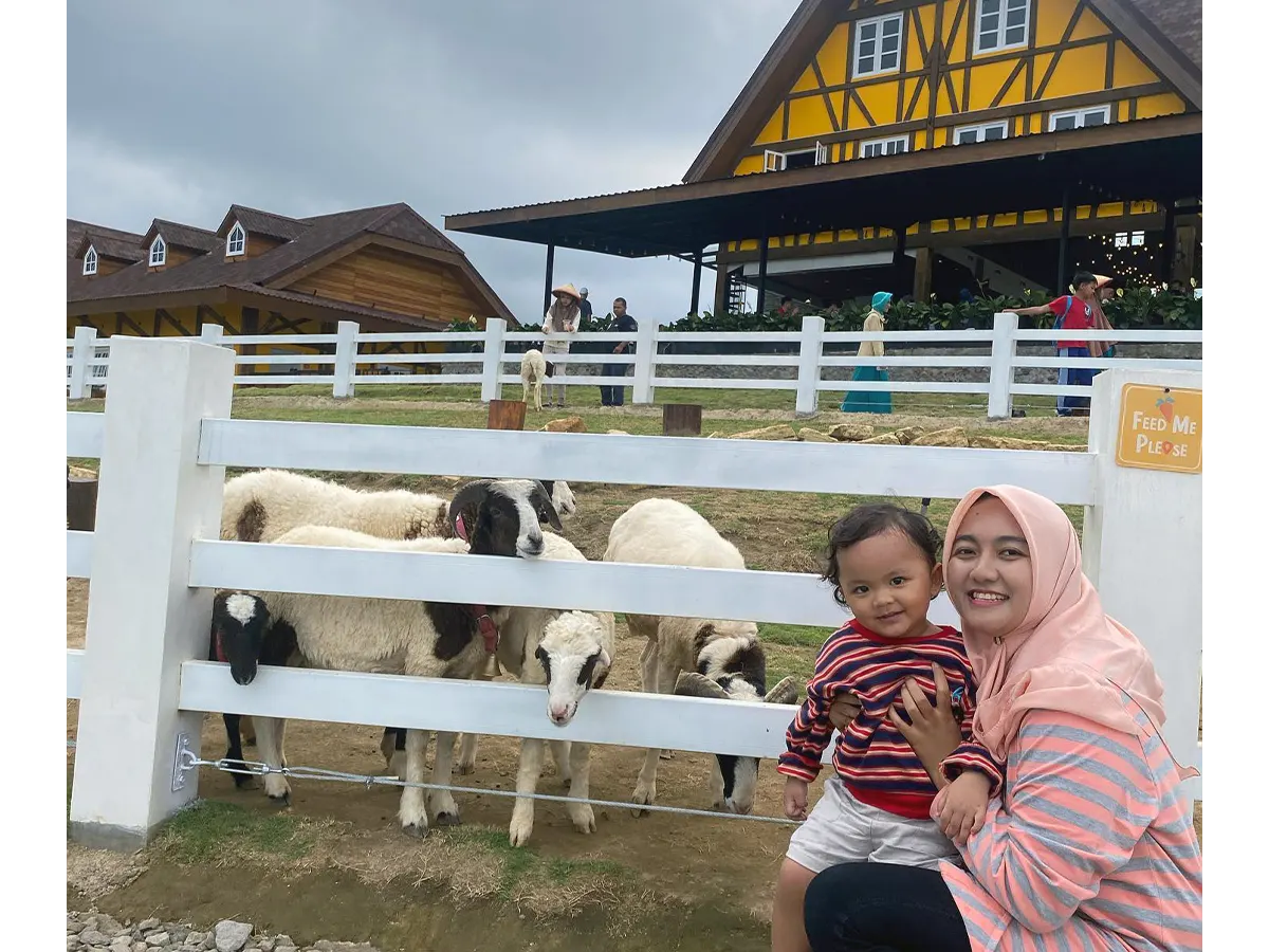 Mini Zoo Cimory Ungaran