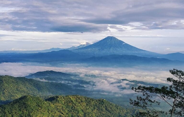 Rekomendasi Tempat Wisata Ngawi Terbaik 2024