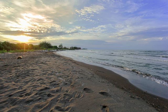 51019945 405268676905569 8770706434287354556 n