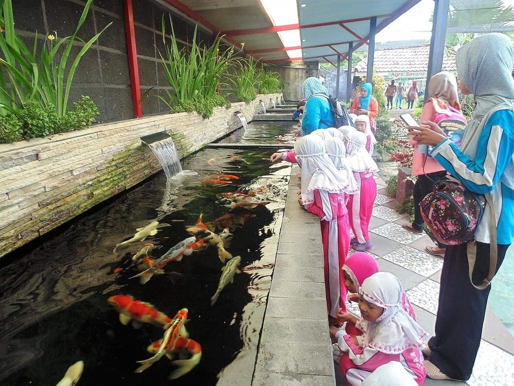 Fish Garden Blitar