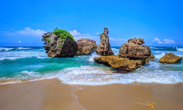 Daya Tarik Pantai Selok