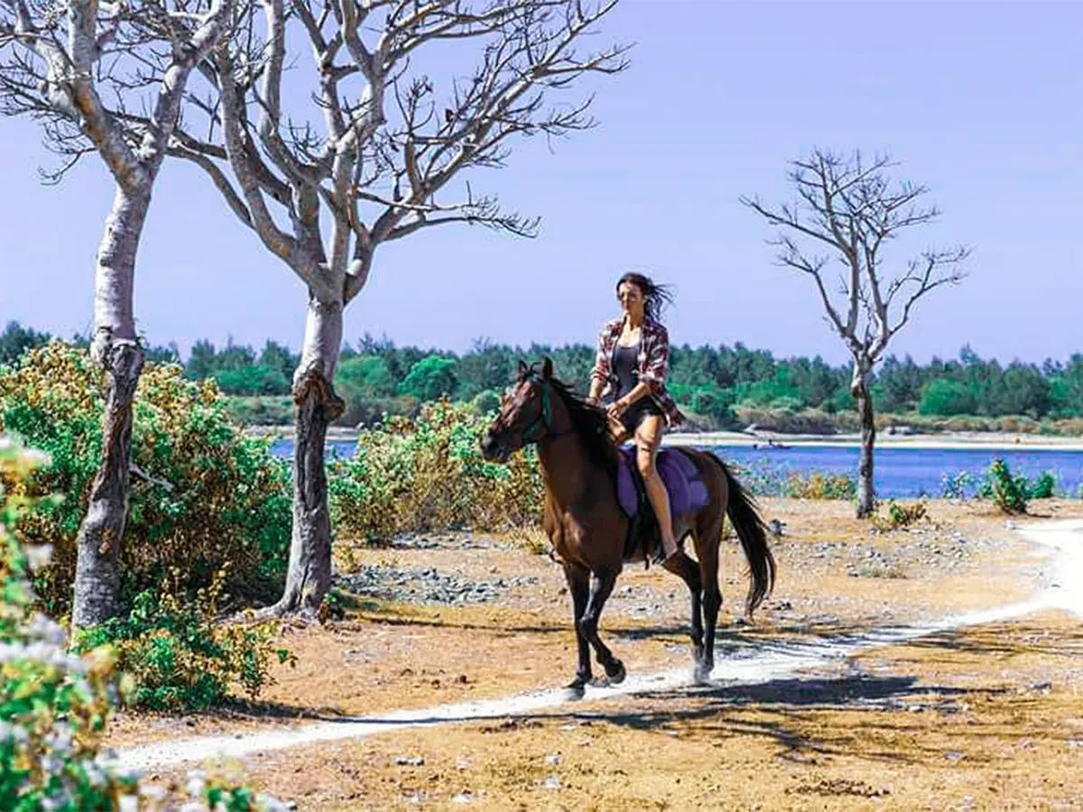 Berkuda di Bali