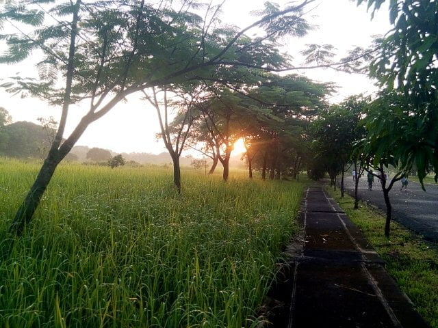 jababekabotanicalgarden cikarang