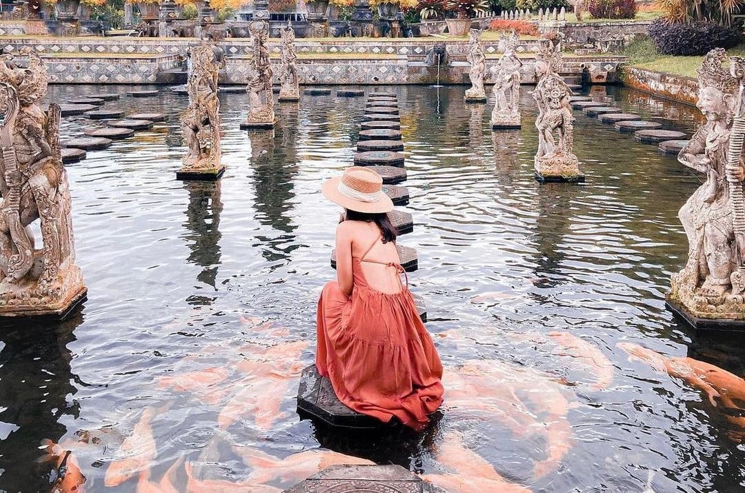 277292750 154130573686398 5566863272299305821 n