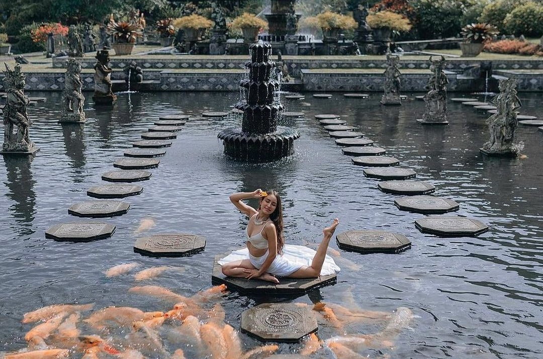 281414264 313464590967568 4806128172145802937 n