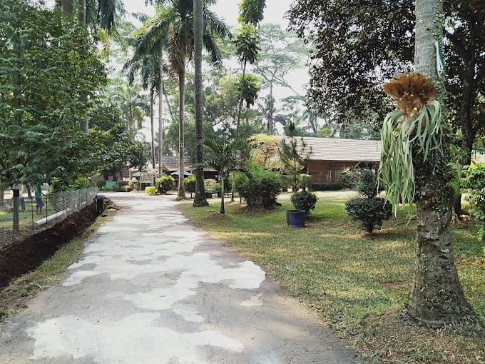 Taman Pulau Situ Gintung 2