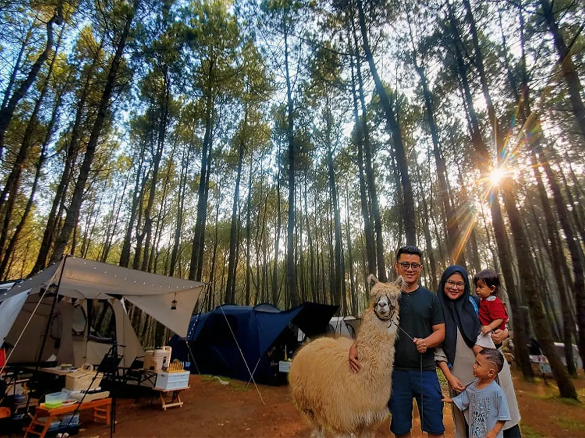 Tangkal Pinus Tempat Liburan Terbaru Lembang Yang Cocok Buat Camping