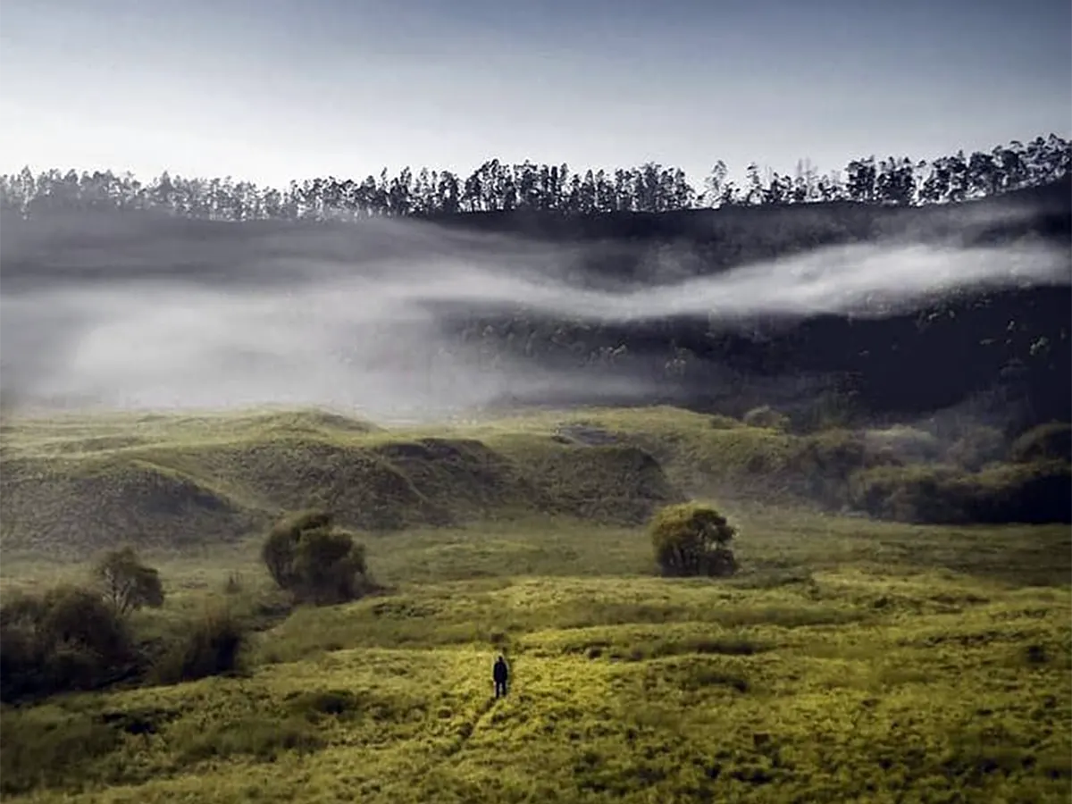 padang savana dieng