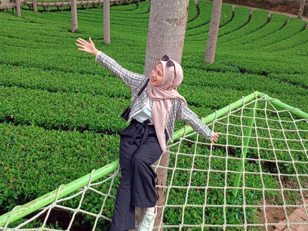 Kebun Teh Panama