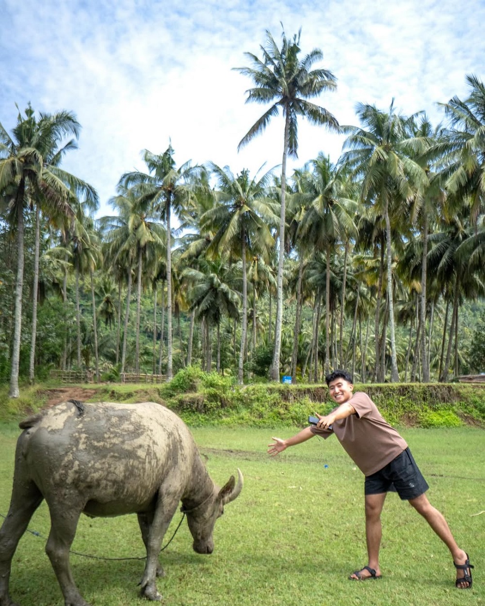 Bukan buaya adanya kerbaupantaikebo