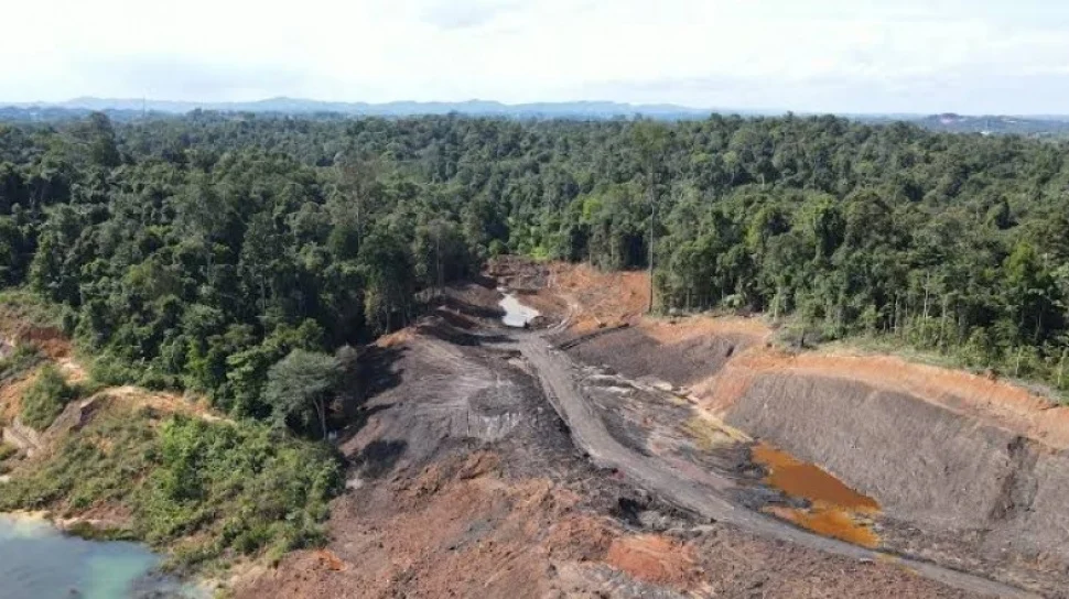 Samin Tan Kembali Jadi Tersangka: Geledah 14 Lokasi, Tambang Ilegal di Kalteng Terungkap