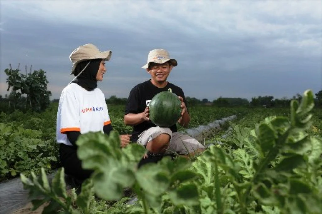 Banten Kirim 21 Petani Milenial Magang ke Jepang