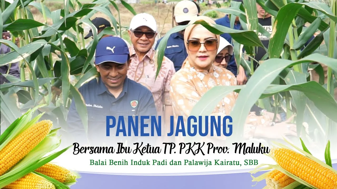 BBRMP Maluku Salurkan Benih Padi dan Kedelai ke Maluku Barat Daya