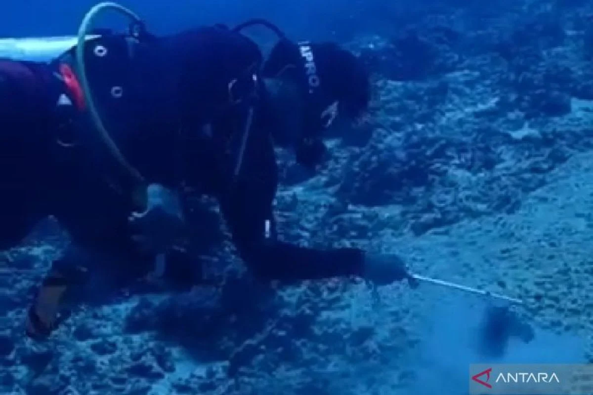 Benda Mirip Torpedo Ditemukan di Perairan Gili Trawangan, Dipastikan Bukan Peledak