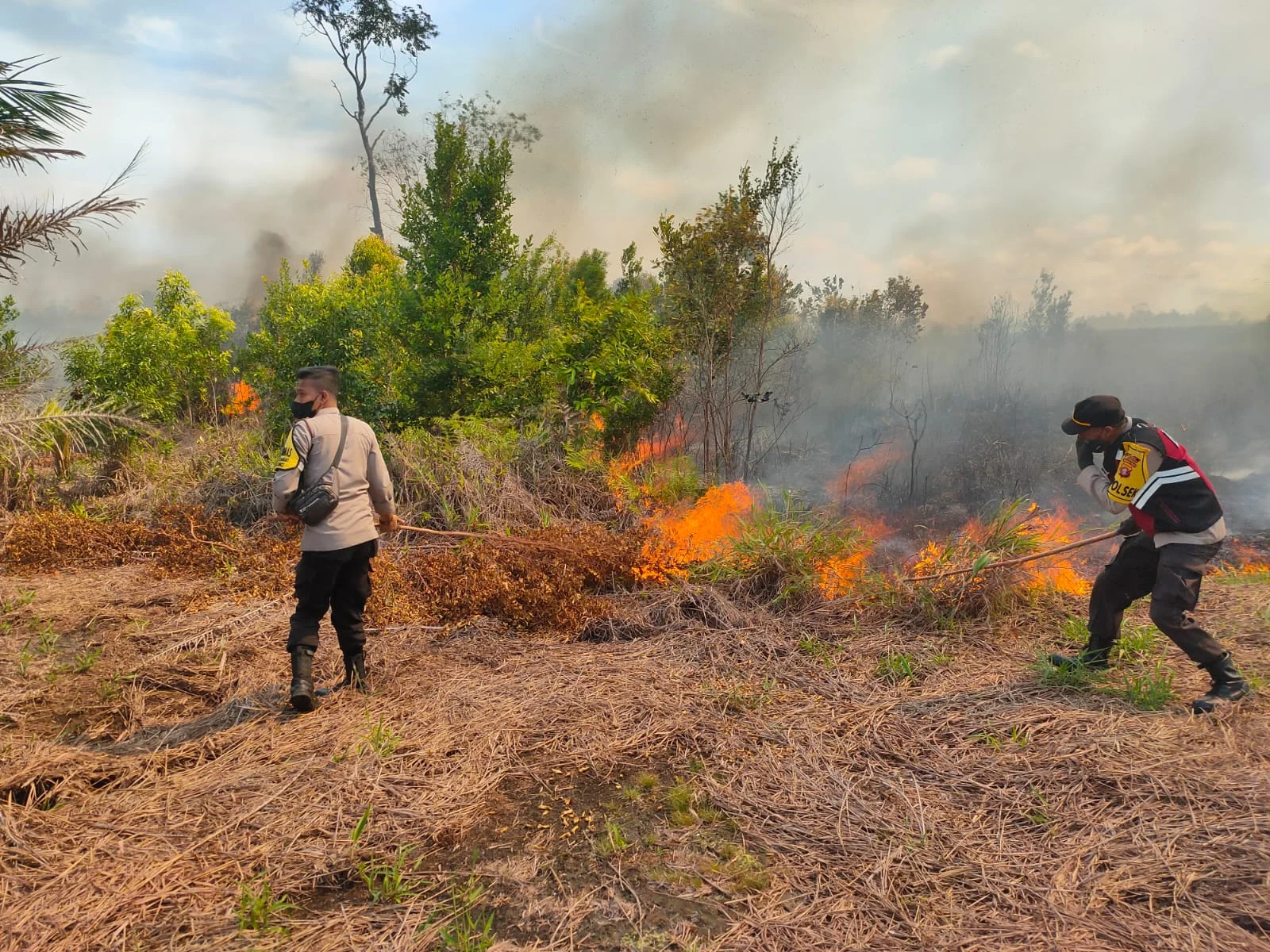 BNPB Catat 379,76 Hektare Lahan di Kalteng Dilanda Kebakaran Sejak Januari 2026