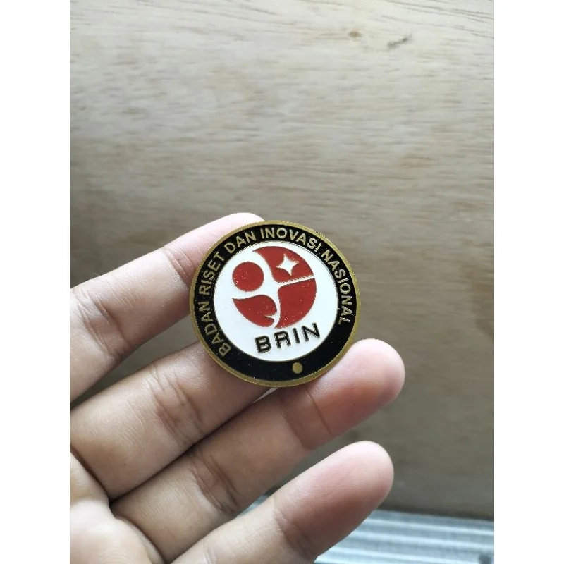 BRIN Upayakan Penyetaraan Diaspora untuk Menjadi Peneliti Utama Domestik