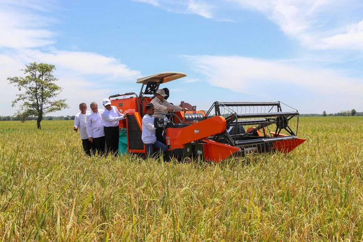 Bulog Maluku Tingkatkan Penyerapan Beras Petani Lokal Hingga 5.000 Ton pada 2026