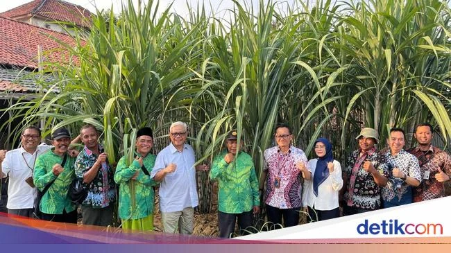 Bulog Siap Serap Panen Tebu Petani Blora Sesuai Harga Acuan