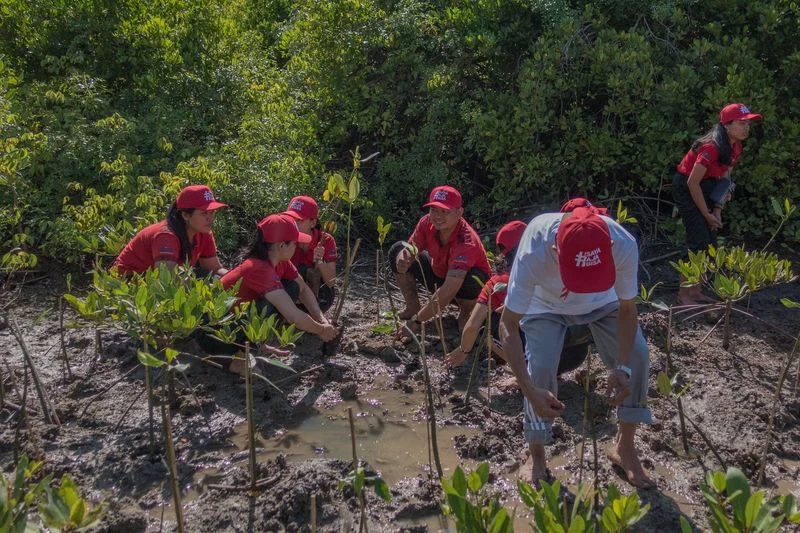Bupati Badung Tanam Mangrove dalam Upaya Pelestarian Lingkungan
