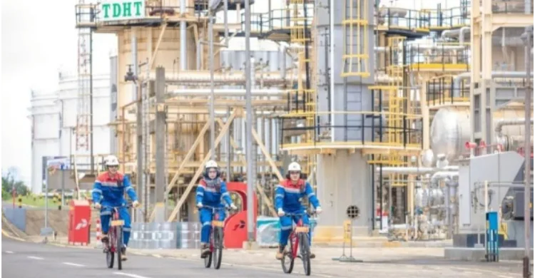 Dari Ekspor ke Proper Hijau, Ceria Tancap Gas Wujudkan Tambang Ramah Lingkungan