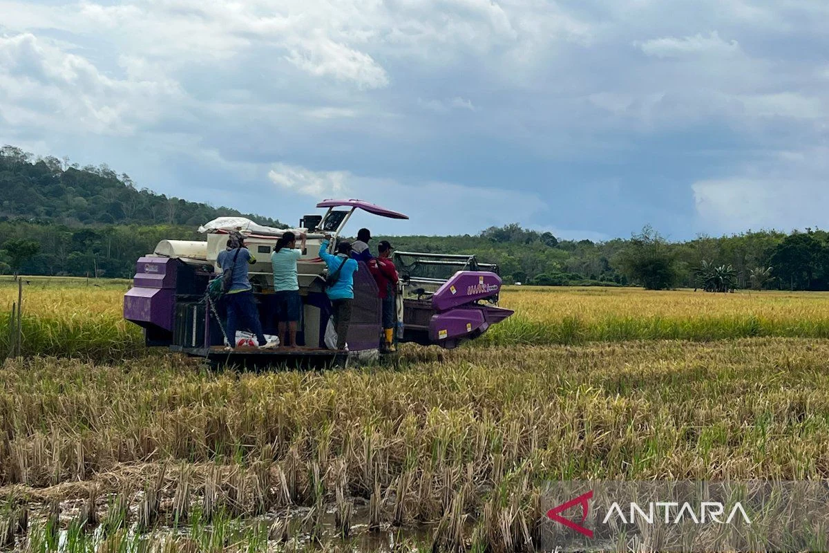 Ditjenpas Kalsel Cetak Sawah Rakyat, Wujudkan Pembinaan Pertanian