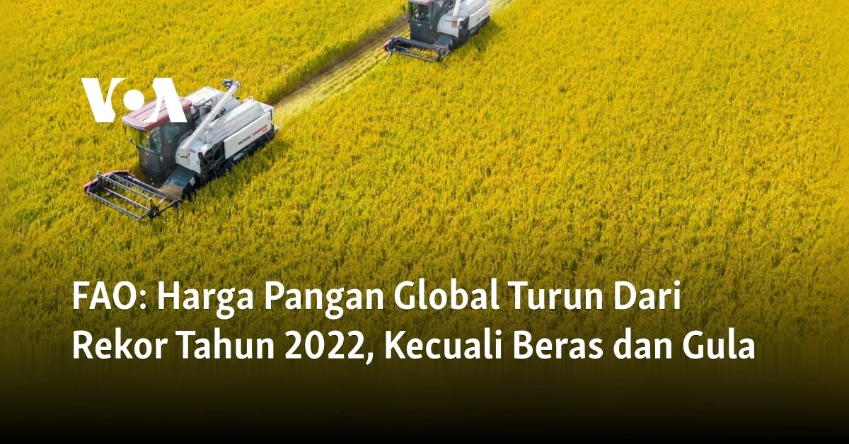 Gara-gara Biaya Energi Melambung, FAO Laporkan Harga Pangan Global Naik 2,4 Persen