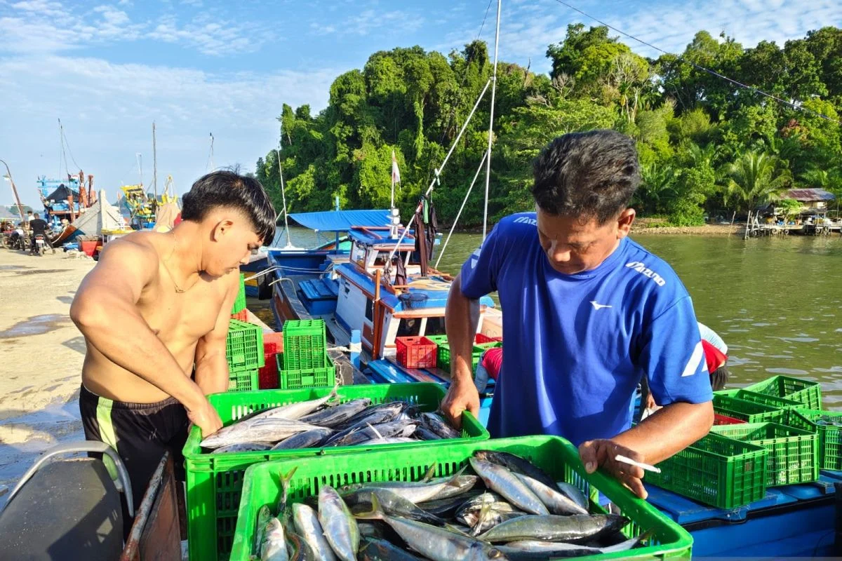 IKN Butuh 12 Ton Ikan per Bulan, Nelayan Binaan ITB Siap Menopang