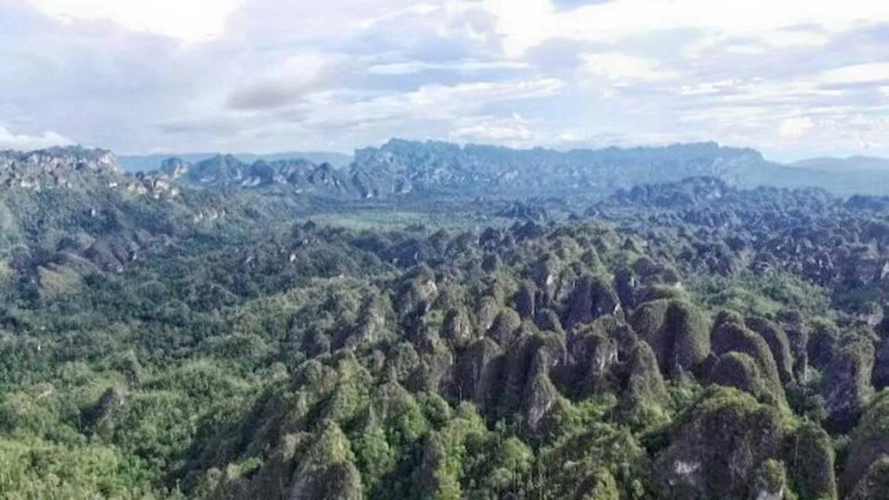 Kalimantan Timur Gali Potensi Karst Mangkalihat untuk Geopark Nasional