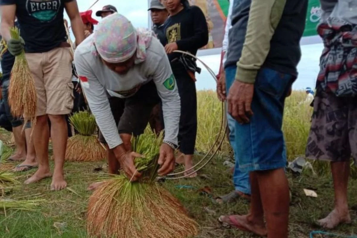 Kekaraengan Marusu Lestarikan Tradisi "Katto Bokko"