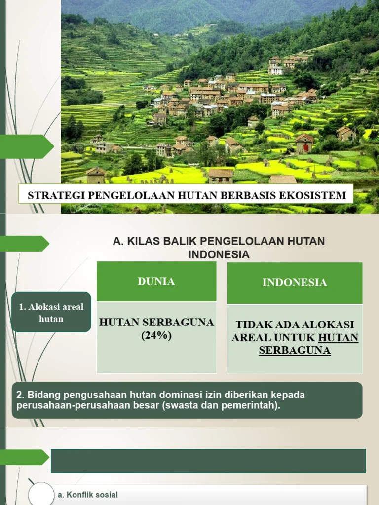 Kemenhut Dorong Lima Program Utama untuk Pengelolaan Ekosistem Hutan
