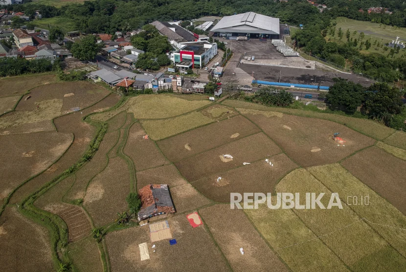 Kementerian Pertanian Alokasikan Rp 877,1 Miliar untuk Rekonstruksi 94.742 Hektar Sawah Terdampak Banjir
