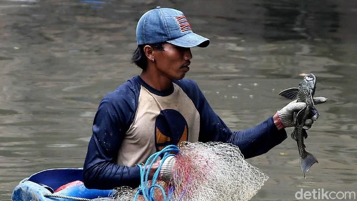 KPKP Jaktim Dorong Penangkapan Ikan Sapu-sapu di Setiap Kecamatan