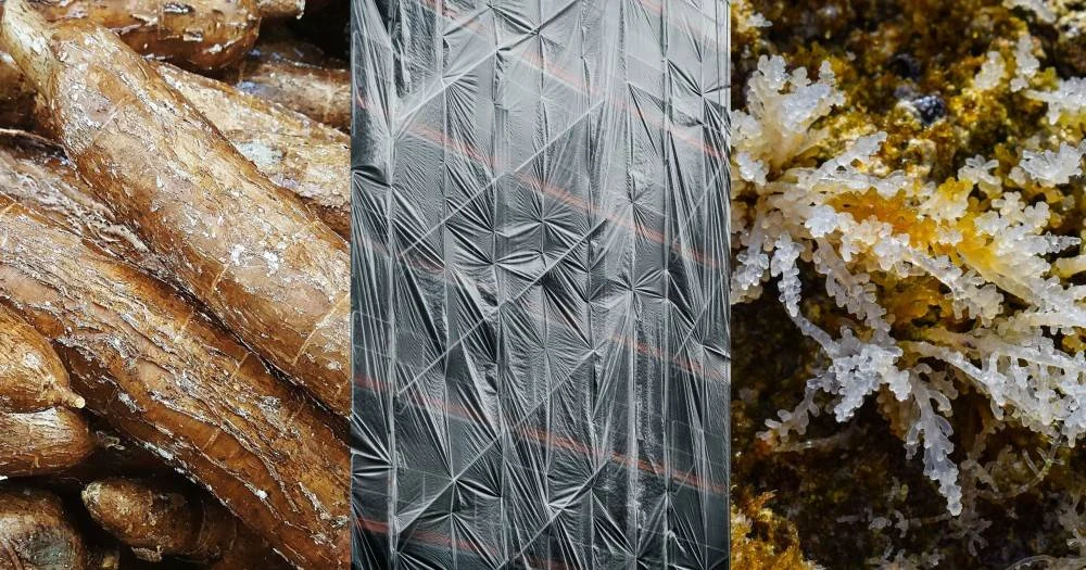 Krisis Bahan Baku Plastik, Pemerintah Bidik Rumput Laut hingga Singkong Jadi Penggantinya