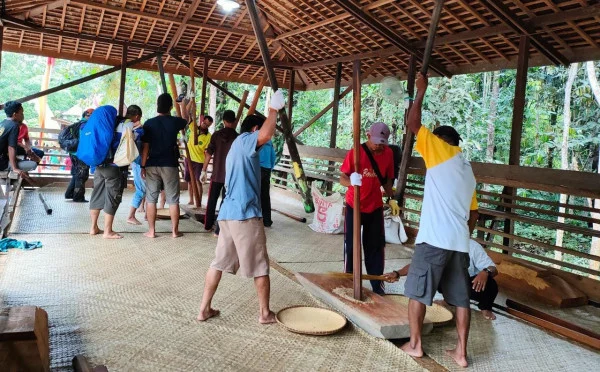 Menghormati padi dengan Nutuk Beham, perayaan panen ala Kutai Lawas