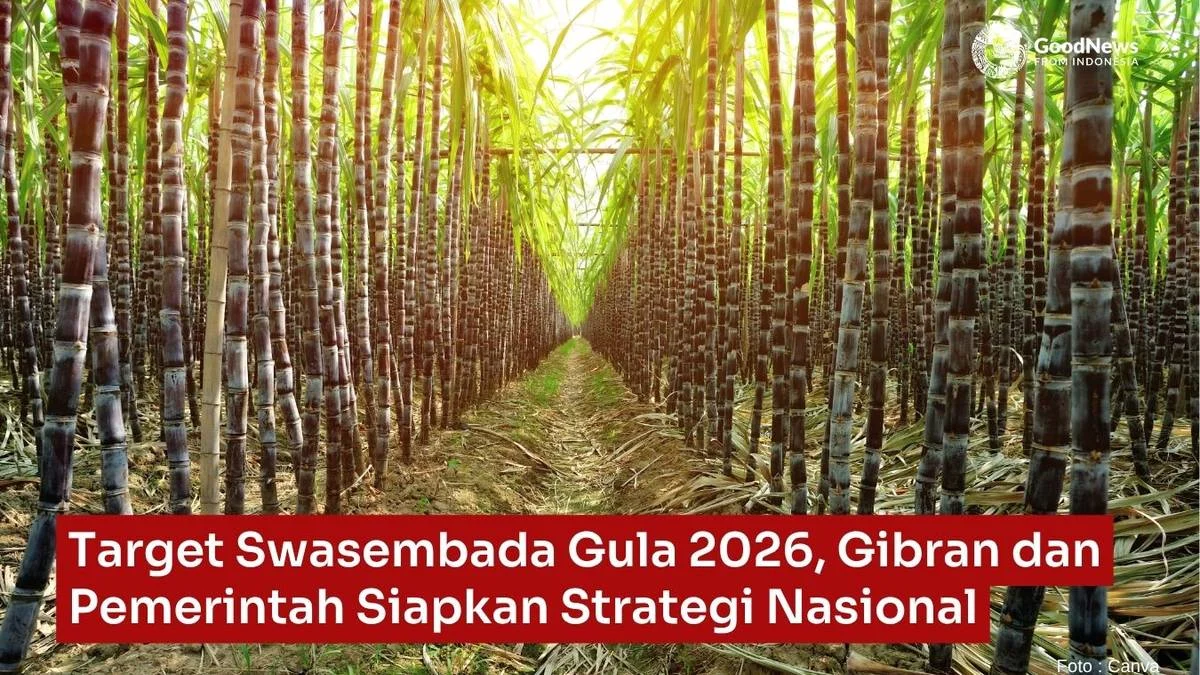 Menjemput Swasembada Gula Konsumsi di 2026