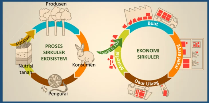 Model Ekonomi Sirkular Berpotensi Diterapkan pada Industri Sawit