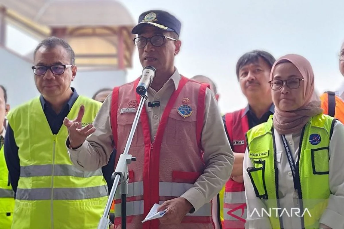 Pemerintah Minta Maskapai Tahan Kenaikan Tiket Pesawat Maksimal 13 Persen