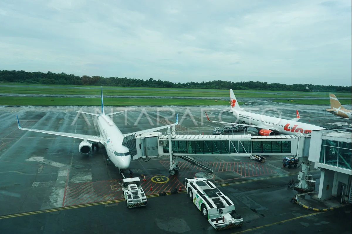 Pemerintah Tanggung PPN Niaga hingga Naikkan Fuel Surcharge, Cegah Lonjakan Harga Tiket Pesawat