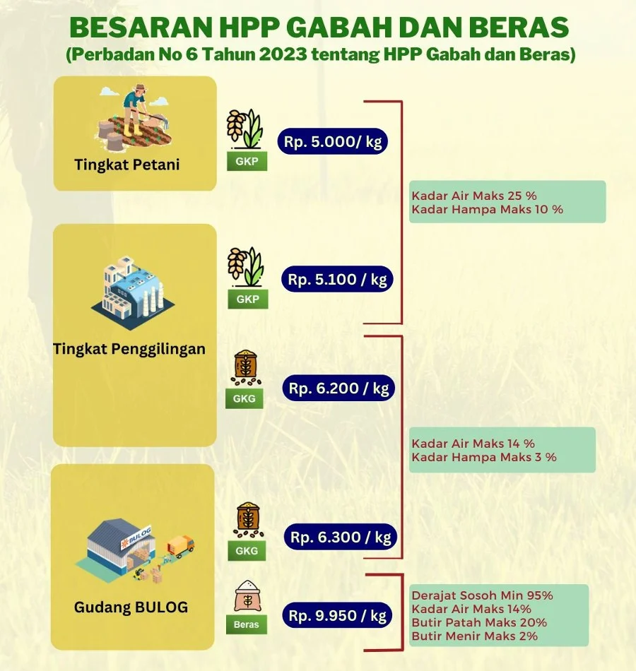 Pemerintah Tetapkan HPP Gabah Petani Bertahan di Rp6.500 per Kilogram