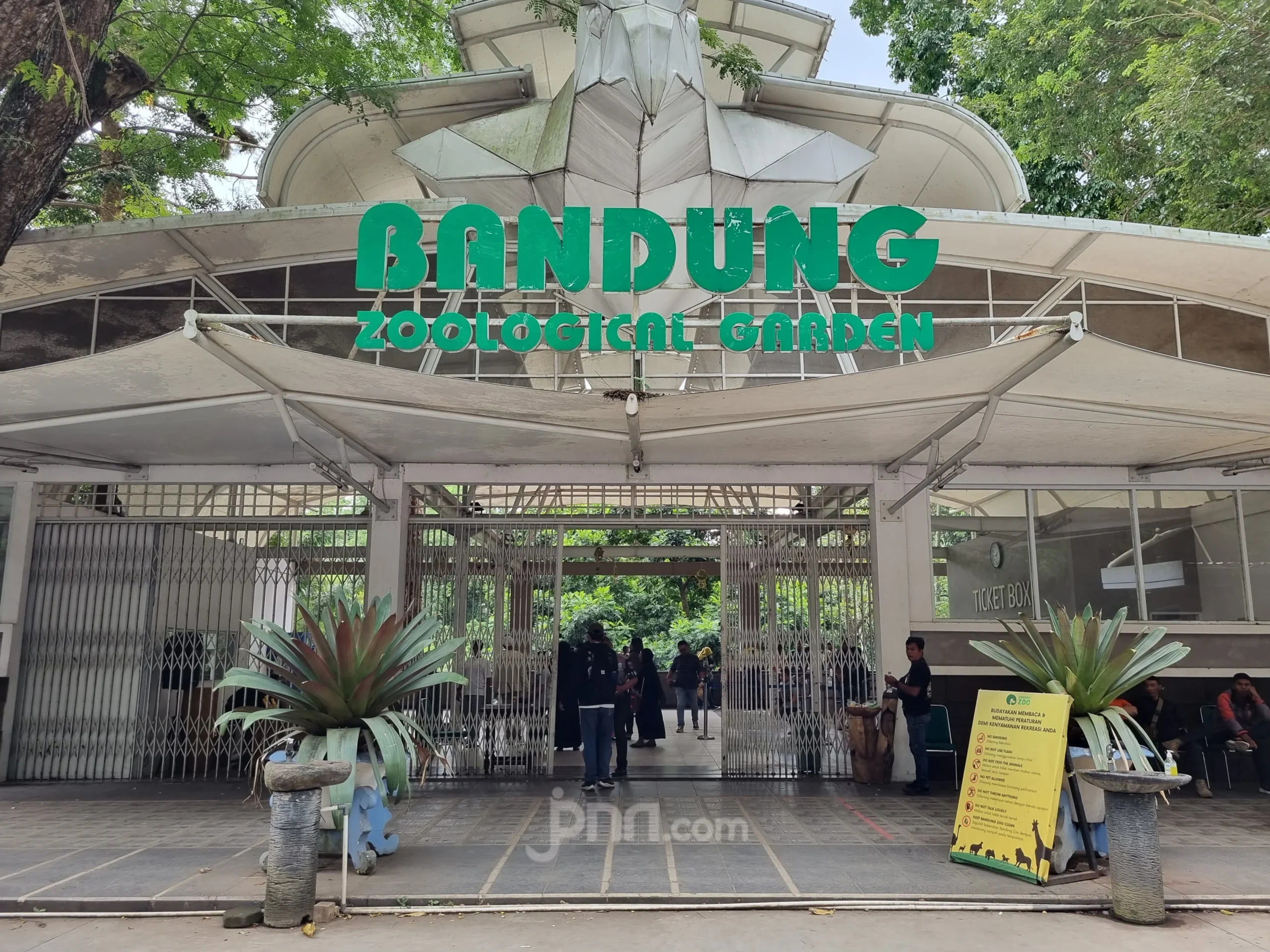Pemkot Bandung Pastikan Kondisi Satwa Prioritas di Bandung Zoo Tetap Sehat dan Terjaga