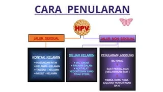 Penularan HPV: Lebih Dari Sekadar Kontak Seksual, Faktor Non‑Seksyal Juga Perlu Diwaspadai