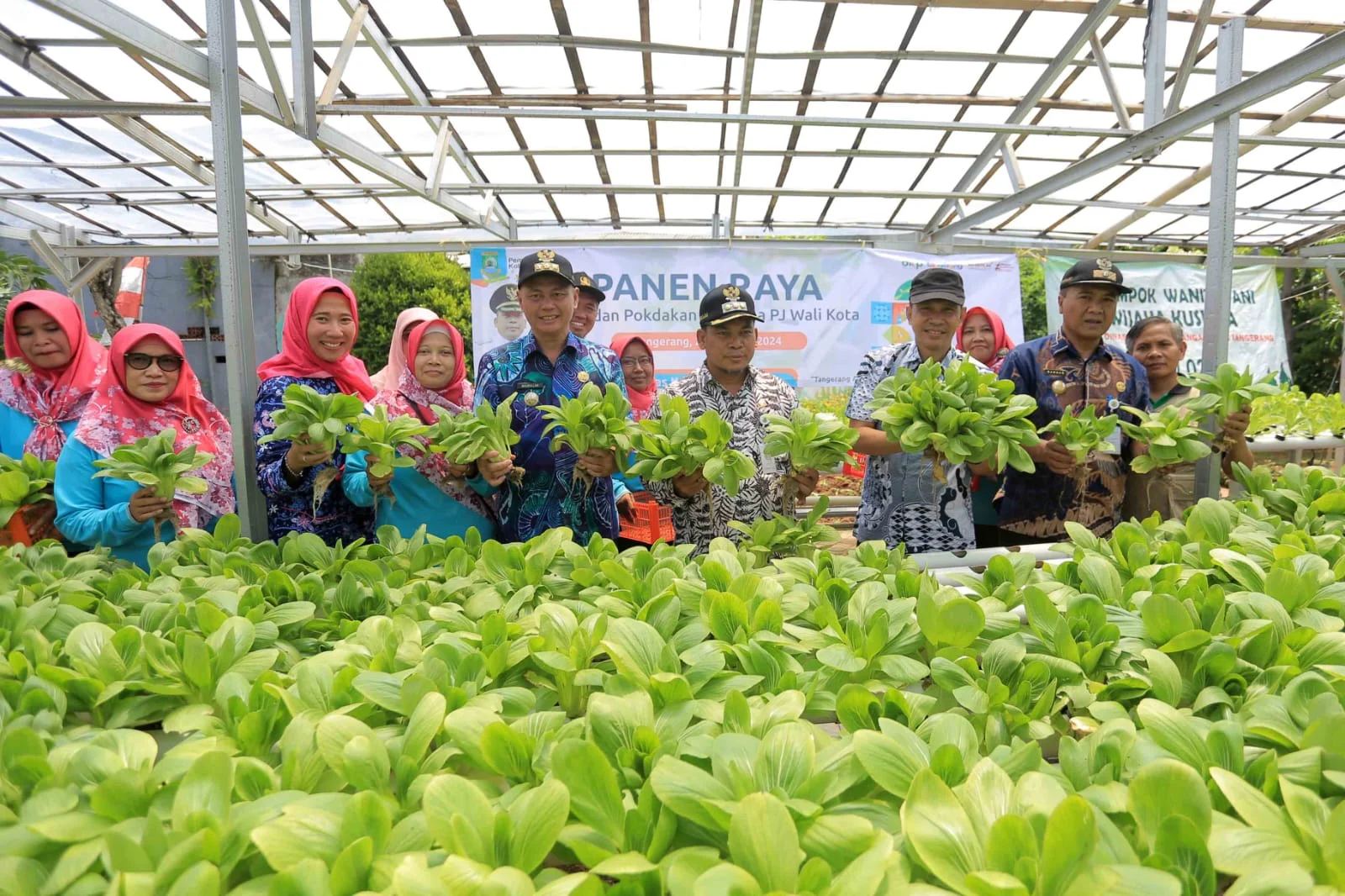 Perkuat Ketahanan Pangan, Legislator Dorong Urban Farming di Tangerang