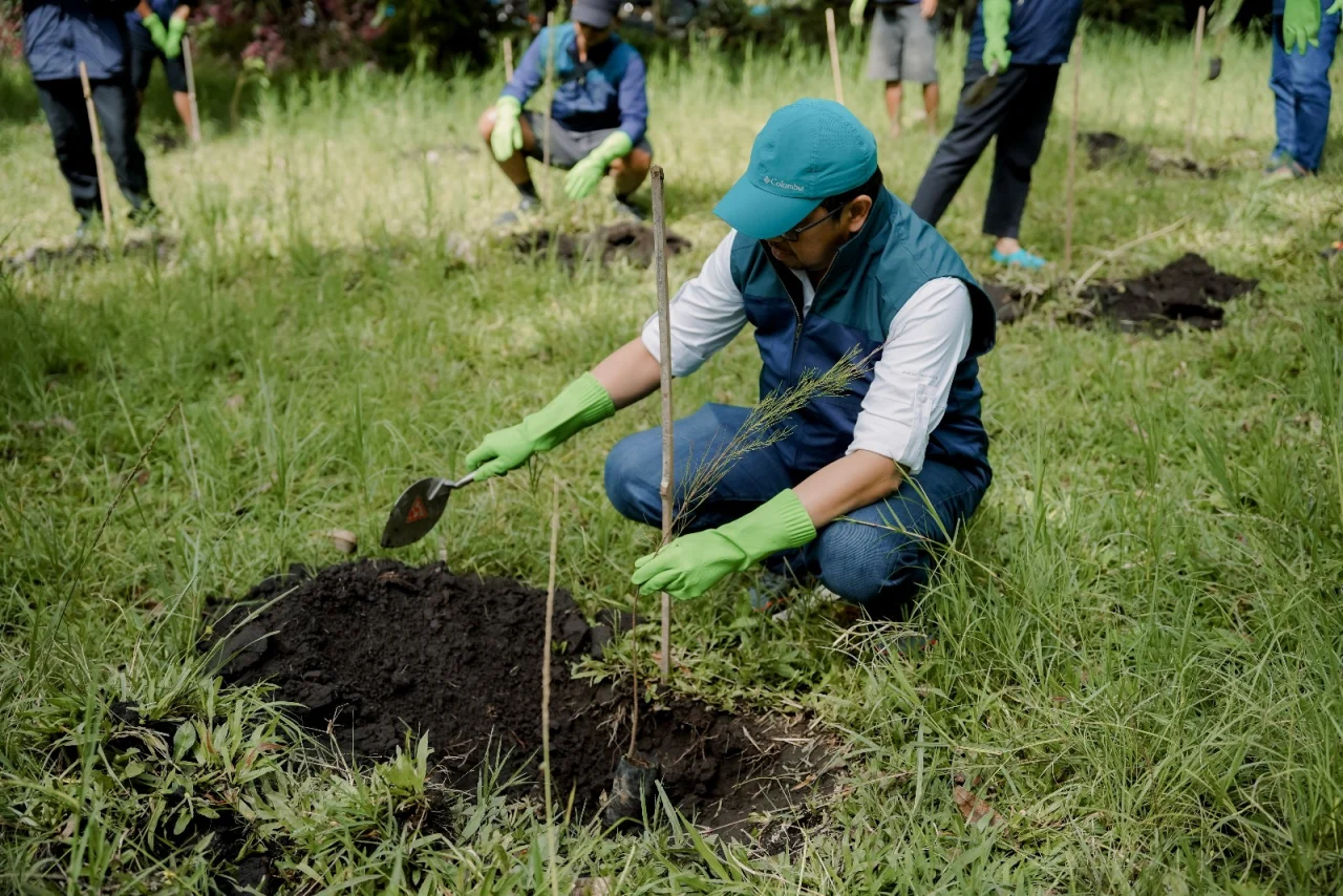 Perkuat Komitmen Lingkungan, Palmco Taman 50.000 Pohon Sepanjang 2026